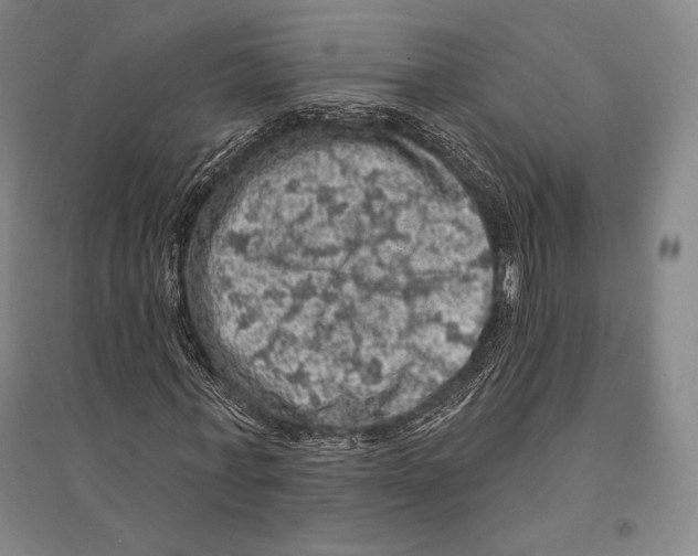 X0000095510771200801111412