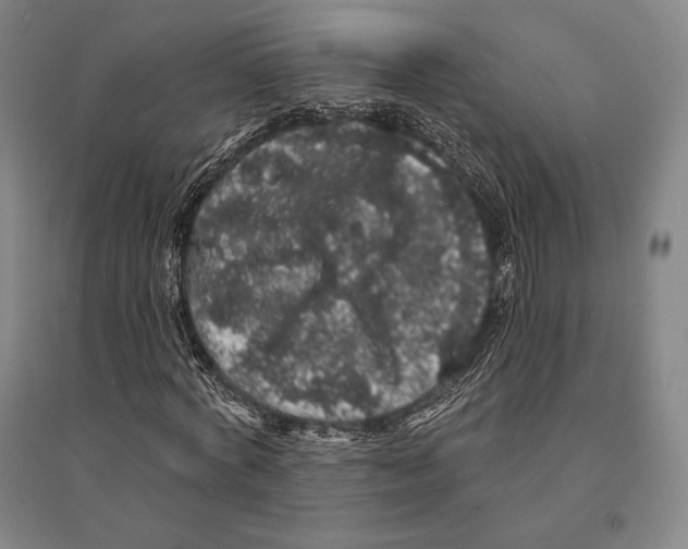 X0000095510772200801111412