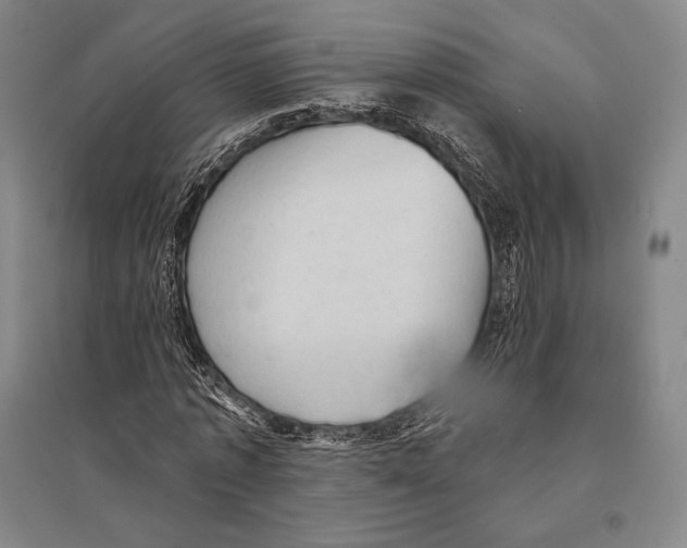 X0000095510773200801111412