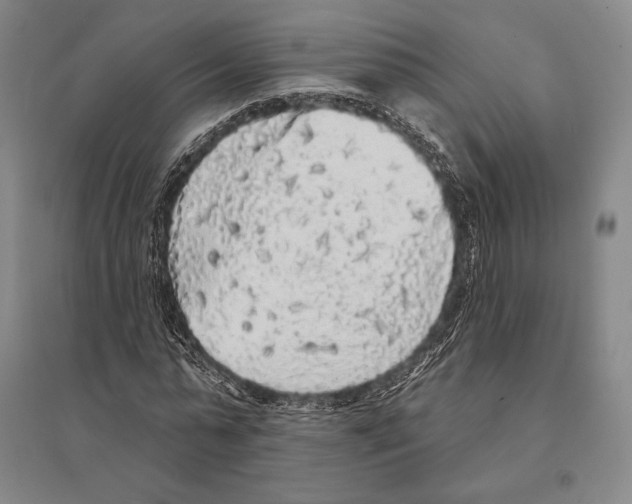 X0000095510775200801111412