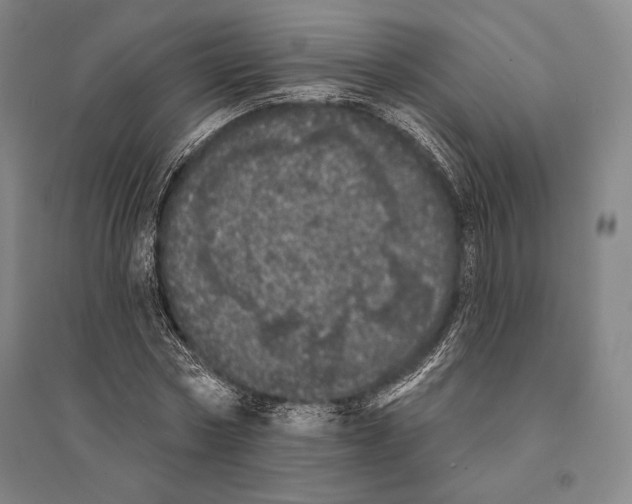 X0000095510778200801111412