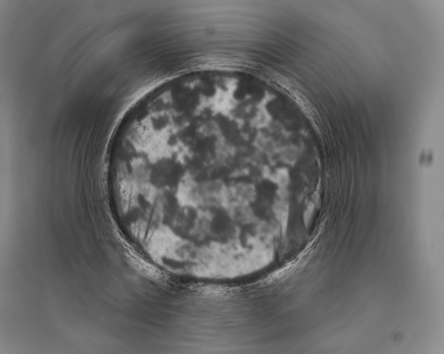 X0000095510779200801111412