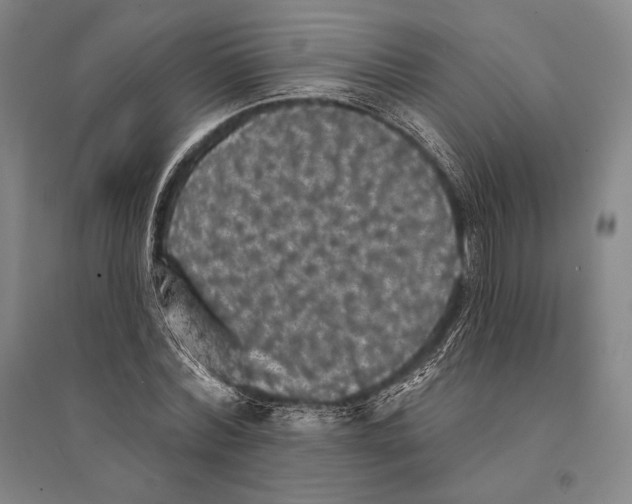 X0000095510780200801111412
