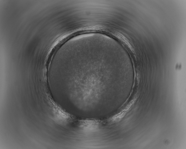 X0000095510781200801111412