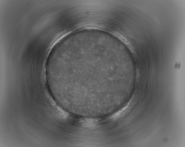 X0000095510782200801111412