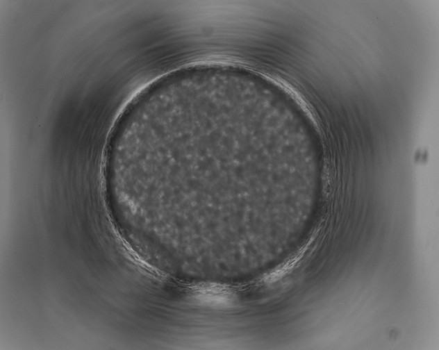 X0000095510783200801111412