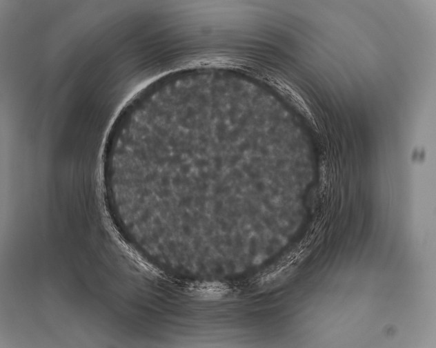 X0000095510784200801111412