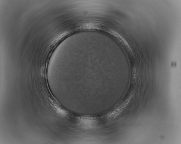 X0000095510785200801111412