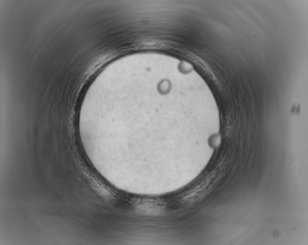 X0000095510786200801111412
