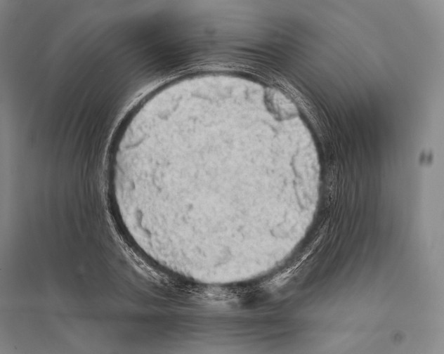 X0000095510787200801111412
