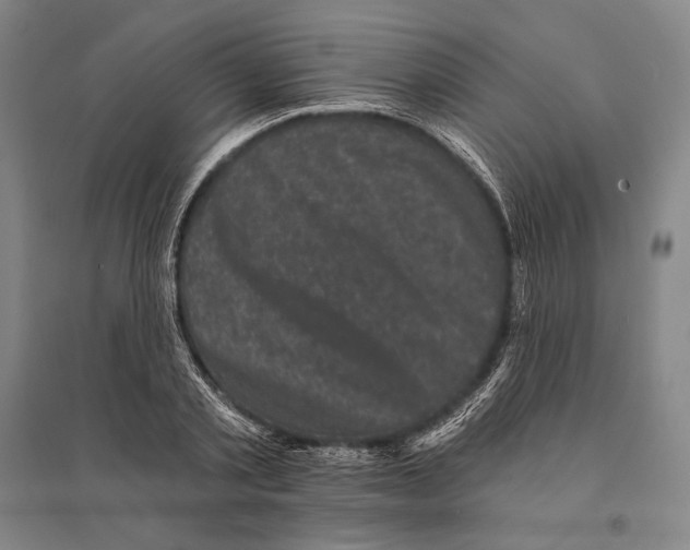 X0000095510789200801111412