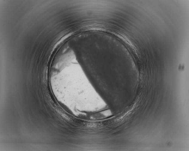 X0000095510790200801111412