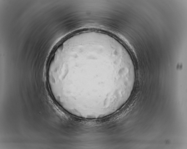 X0000095510791200801111412