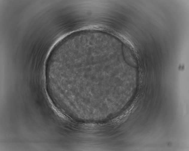 X0000095510792200801111412