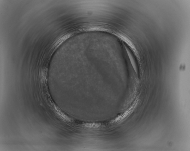 X0000095510793200801111412