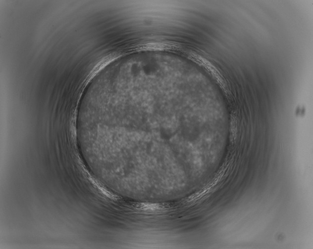 X0000095510794200801111412