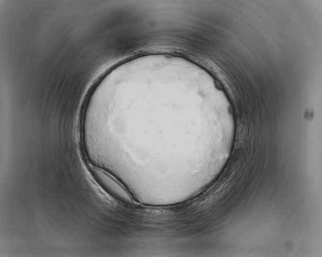 X0000095510795200801111412