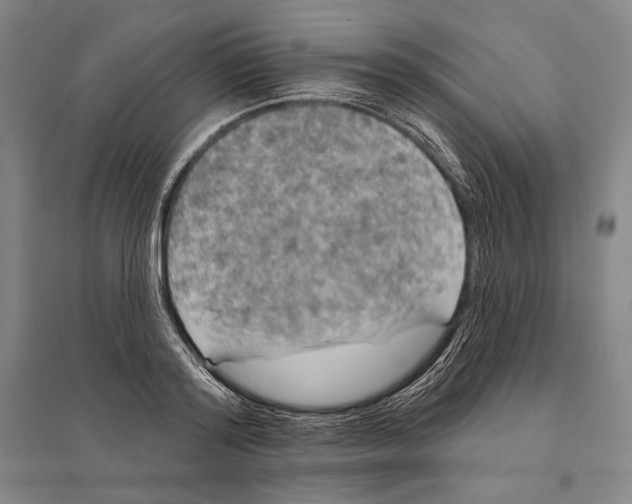 X0000095510796200801111412