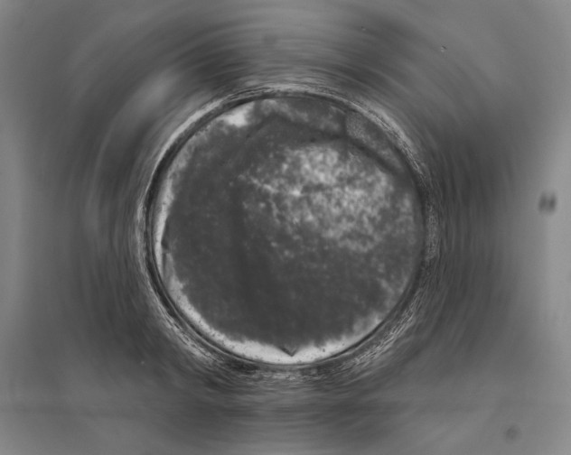 X0000095510798200801111412
