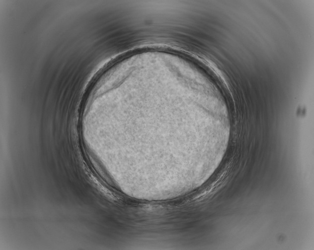 X0000095510799200801111412