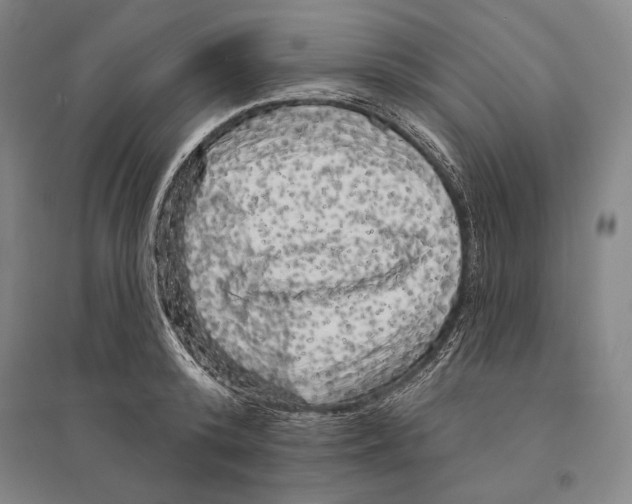 X0000095510800200801111412