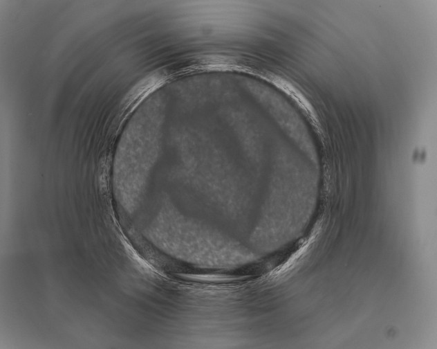 X0000095510801200801111412