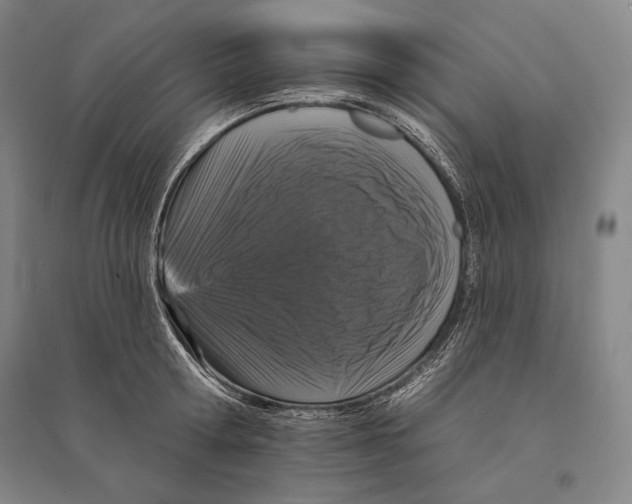 X0000095510802200801111412
