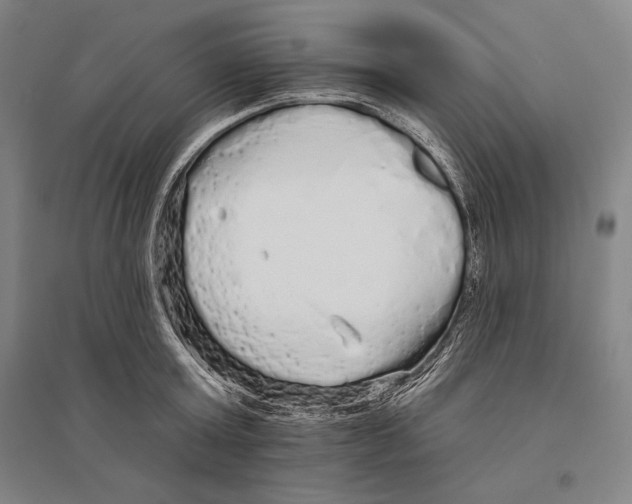 X0000095510803200801111412