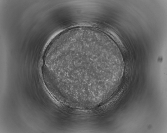 X0000095510804200801111412
