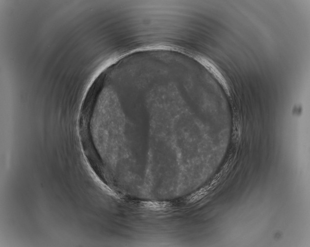 X0000095510805200801111412