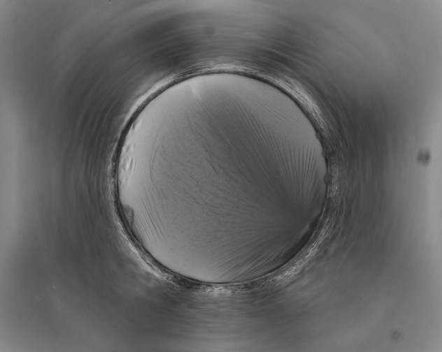 X0000095510806200801111412