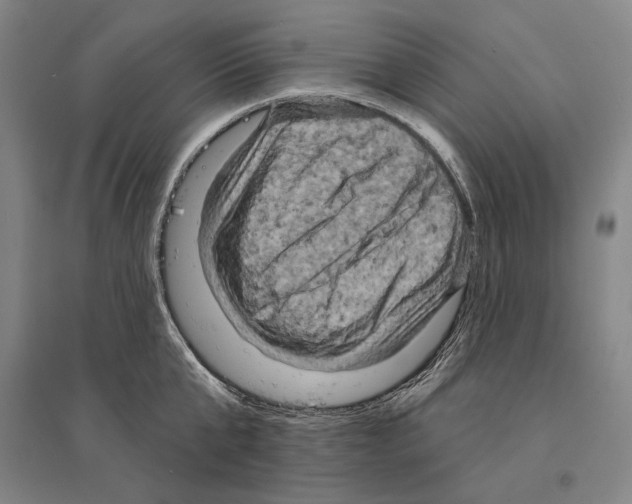 X0000095510807200801111412