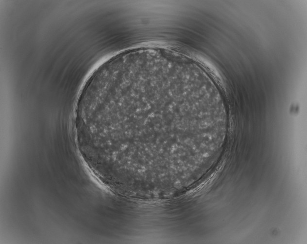 X0000095510808200801111412