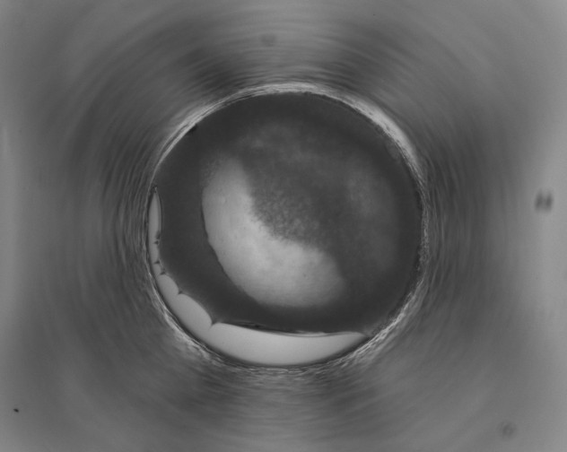 X0000095510809200801111412