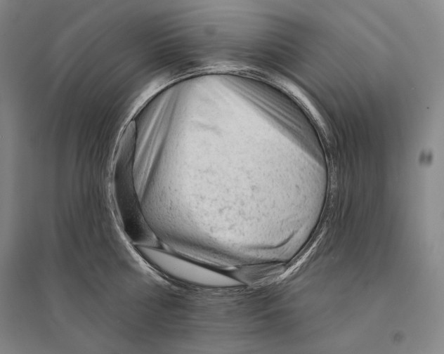 X0000095510810200801111412