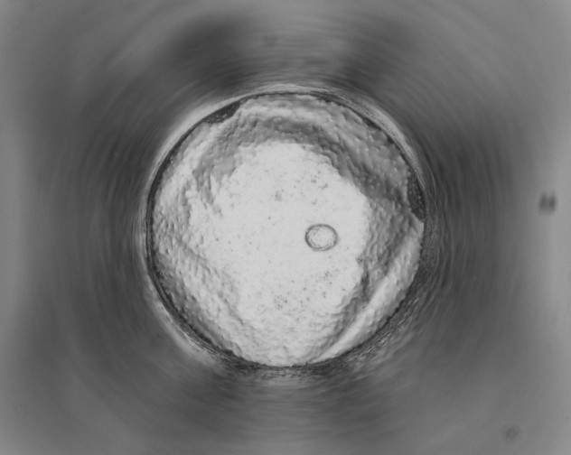 X0000095510811200801111412