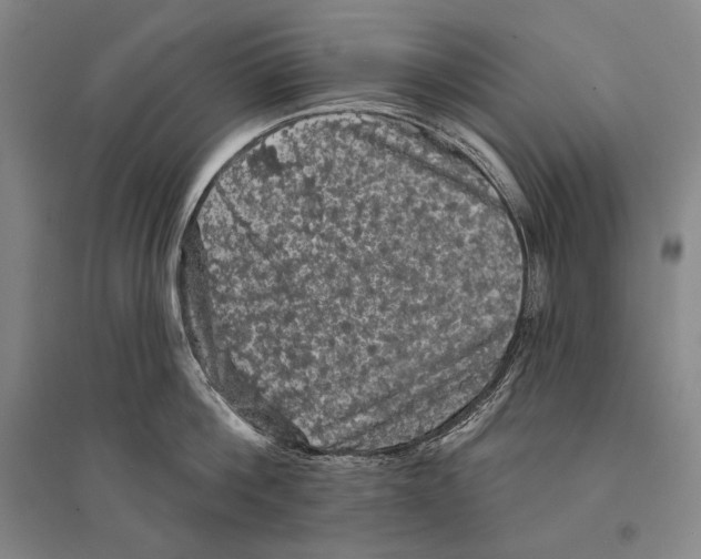 X0000095510812200801111412