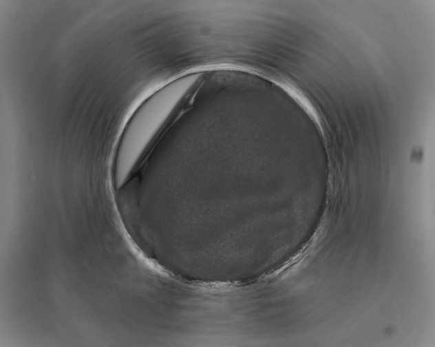 X0000095510813200801111412