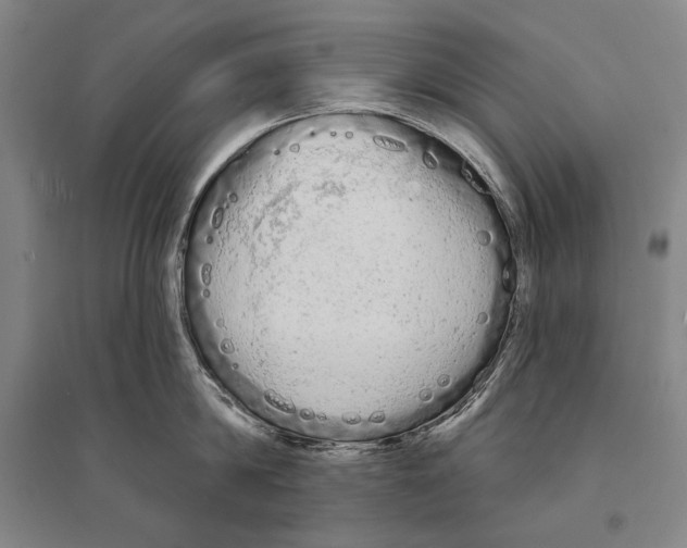 X0000095510814200801111412
