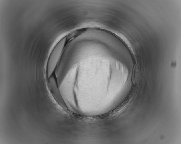 X0000095510815200801111412