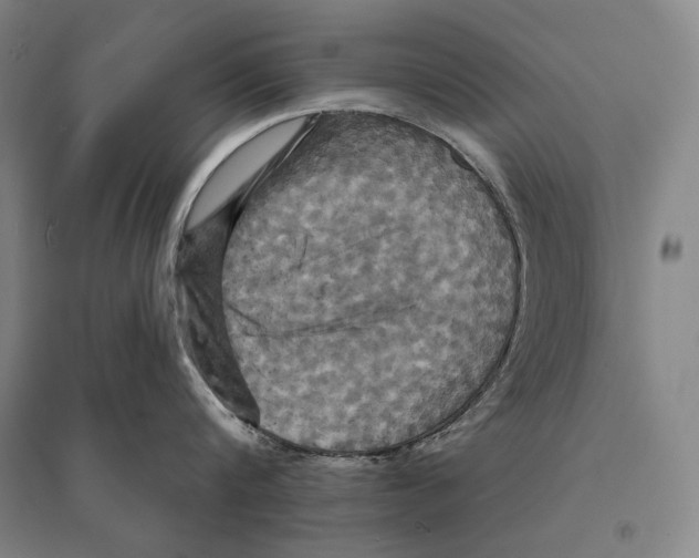 X0000095510816200801111412