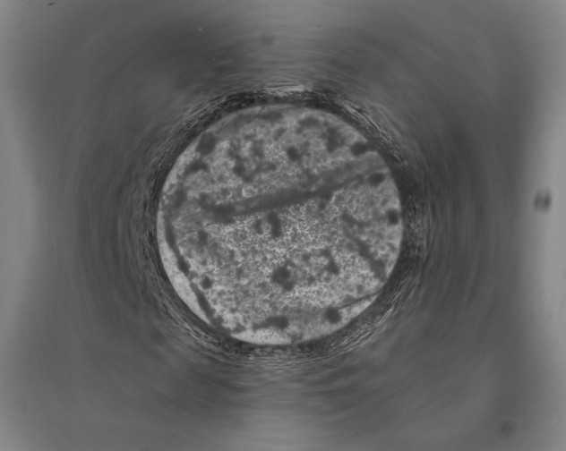X0000095510817200801111411