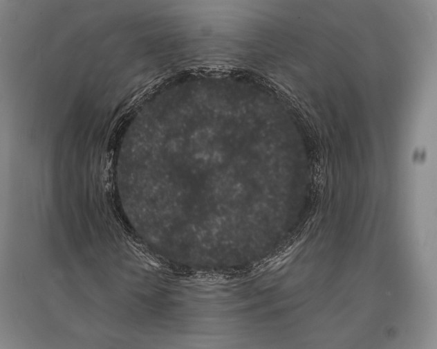 X0000095510818200801111411