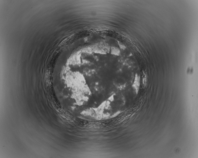 X0000095510819200801111411