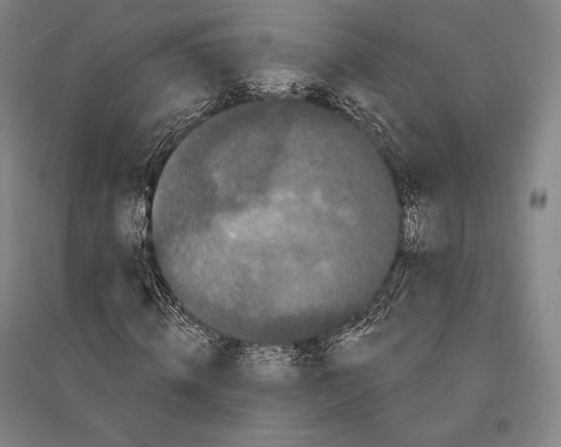 X0000095510820200801111411