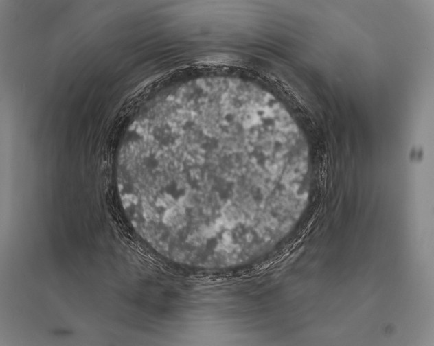 X0000095510821200801111411