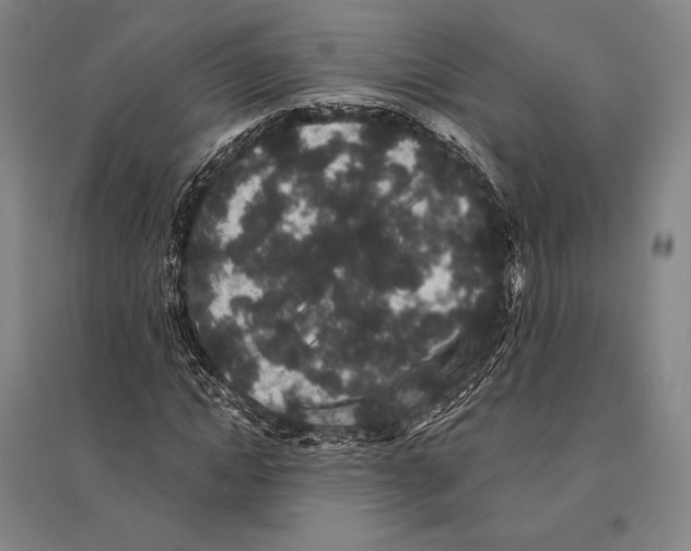X0000095510822200801111411