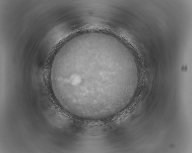 X0000095510824200801111411