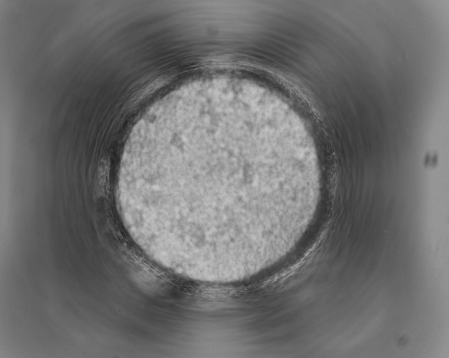 X0000095510825200801111411