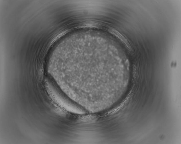 X0000095510826200801111411